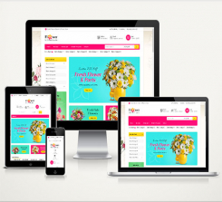 Çiçekci Web Paketi Swet v4.0